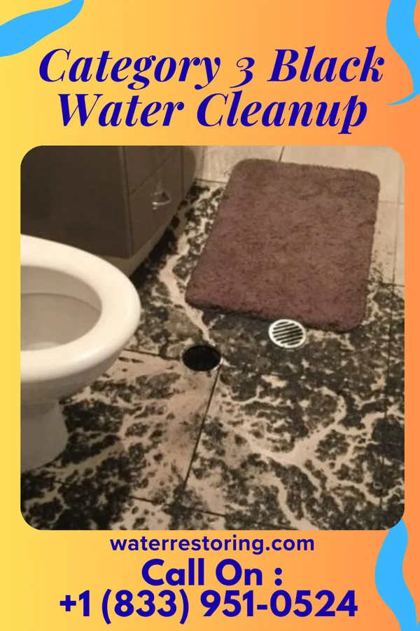 Category 3 Black Water Cleanup in Easton, KS